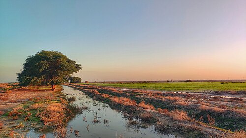 アブ・パクシュの夕日（ブーシェフル州）