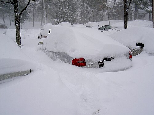 まだ降り続く雪に数台の車が窓の高さまで埋もれている