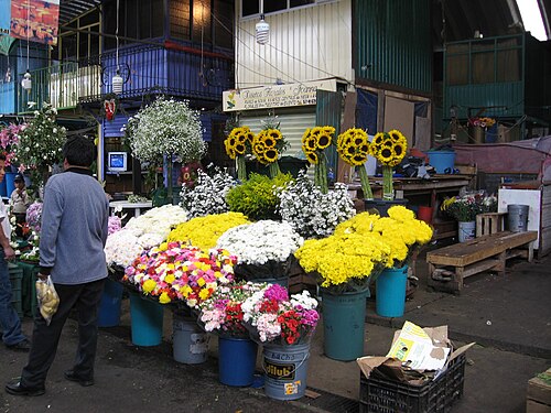 ジャマイカマーケットの花屋の1つ