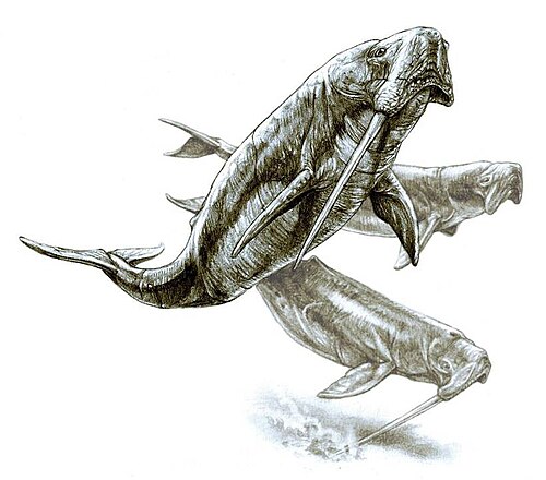 オドベノケトプスは、長い一本の牙を持つ絶滅したクジラである。
