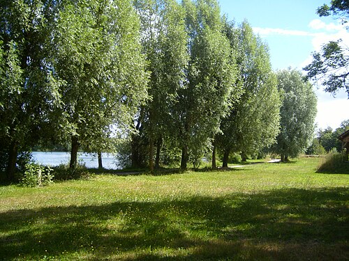 スープ＝シュル＝ロワンのロワン川沿いにある公共公園
