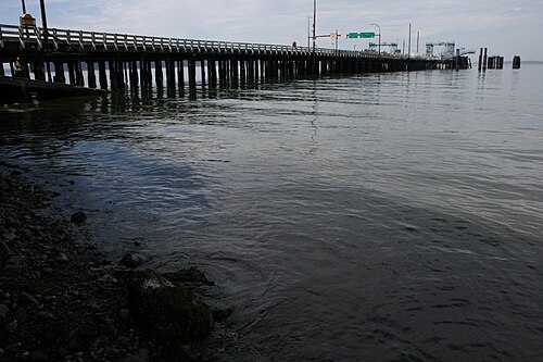 写真の前景では水が岸に流れ込んでおり、左端の隅には鉄塔を基礎とした橋があり、これがフェリー乗り場となっている。