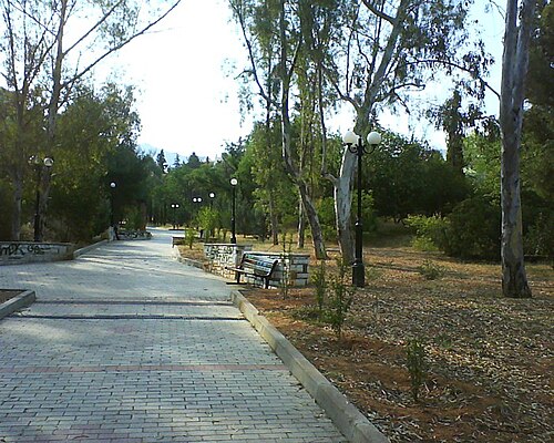地元の公園。