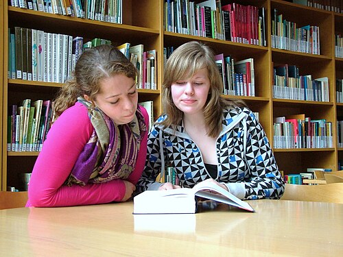 2 人のティーンエイジャーが本を読んで共同注意を交わしています。