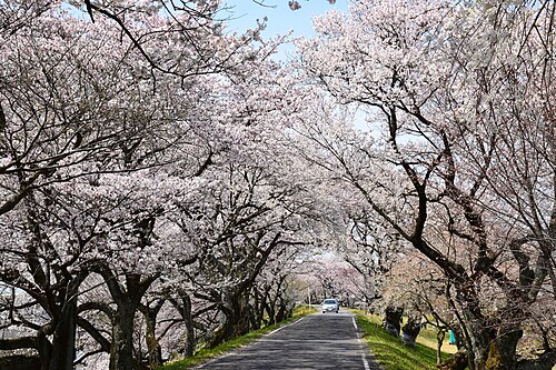 木曽川堤