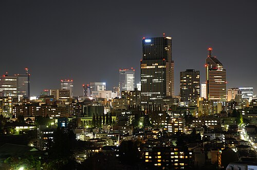 向山から見た仙台の夜景（2012年）