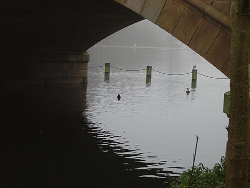 下から見たサーペンタイン橋