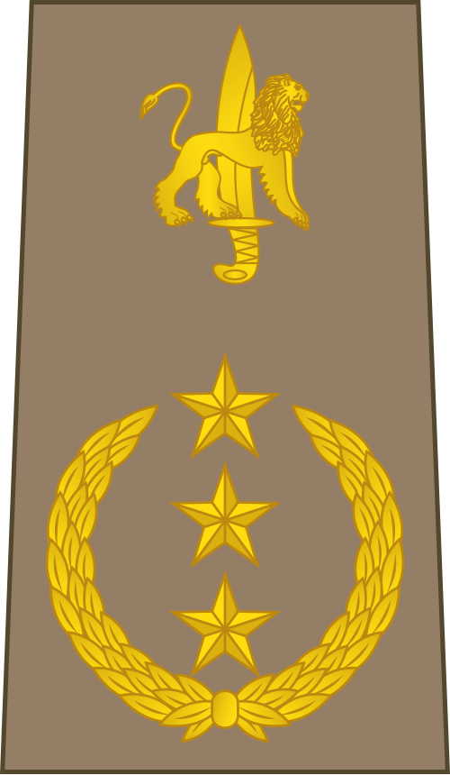 師団総司令官(コンゴ地上軍)