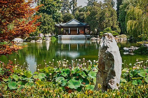 植物に囲まれた静かな池で、池の向こう側にはパゴダ風の建造物がある。