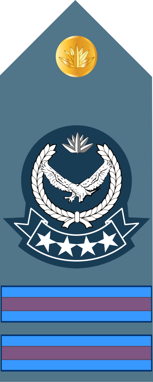 OR-8 insignia