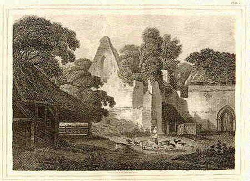 バーナム修道院の遺跡（『ニュー・ブリティッシュ・トラベラー』、1819年より）