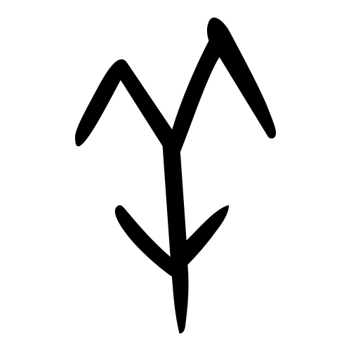 甲骨文字