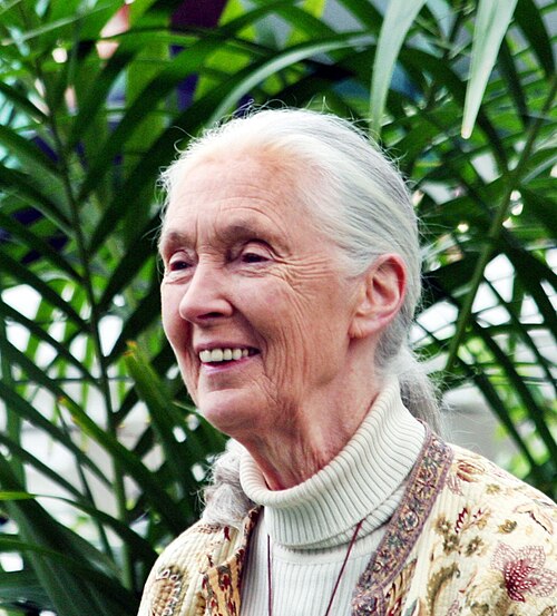 霊長類学者ジェーン・グドール女史