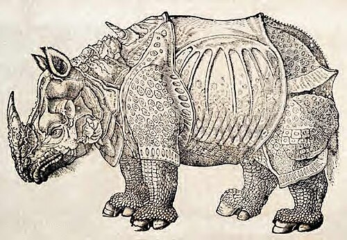 サイの木版画