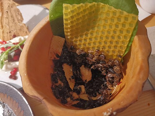 ウクライナ料理店で提供される、丸ごと揚げた蜂。