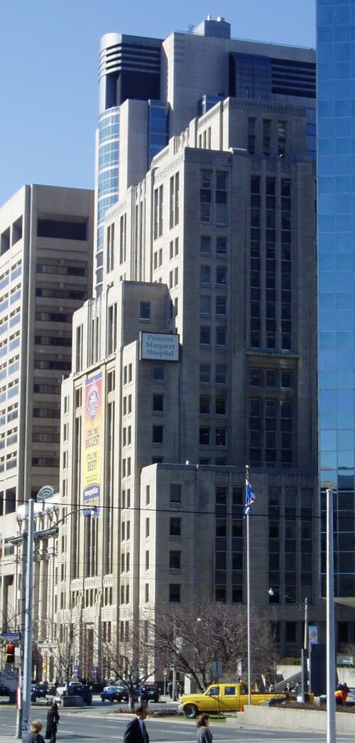 北東から見たプリンセス・マーガレット号。マウント・サイナイ病院は南側にあります。