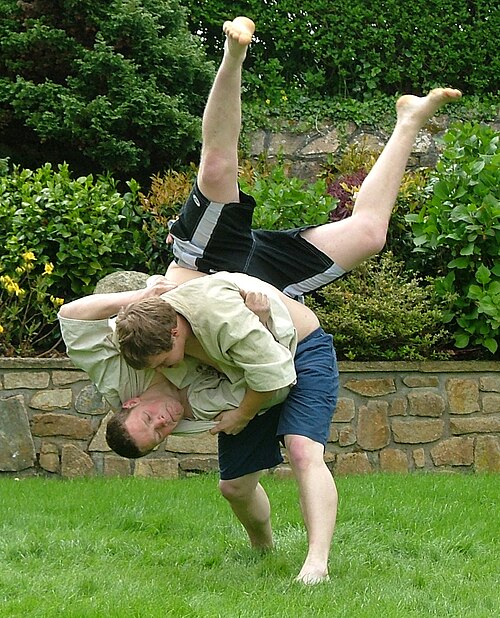 戦闘中の 2 人の男性が、灌木の前の緑の芝生に現れます。男性はどちらも暗い色のショートパンツとクリーム色のトップスを着ています。1 人の男性が戦術的に有利で、相手を頭から地面に向かって投げています。