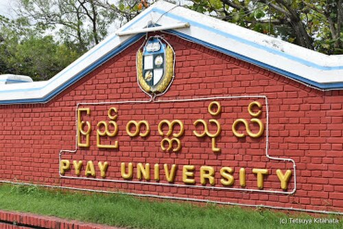 ピャイ大学