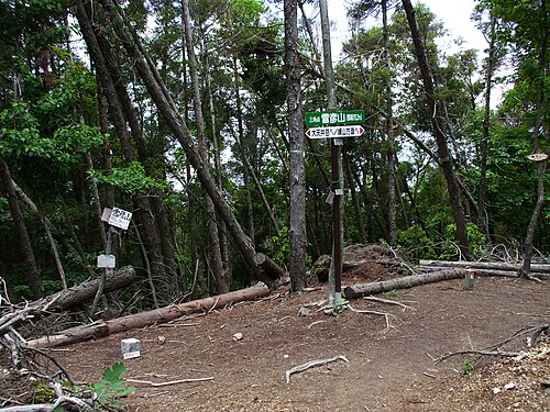 三ツ辻山の山頂
