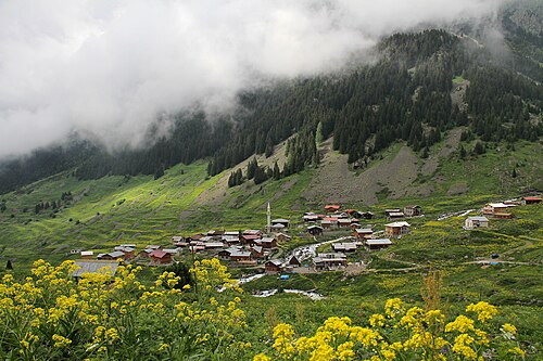 トルコ黒海地方のエレヴィト・ヤイラ