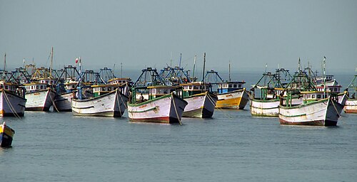 海岸に停泊している船の集合。