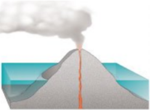 ダーウィンの理論は、火山島が絶滅することから始まる。
