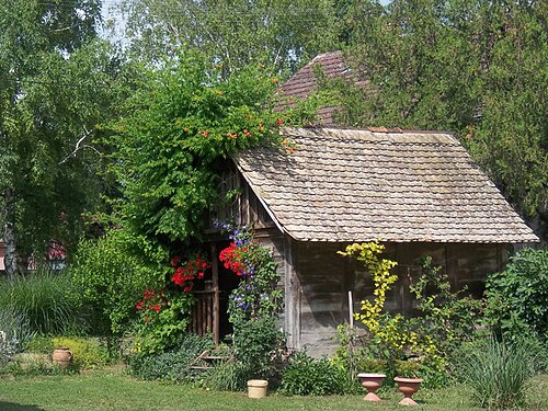 1888年、クロアチア、バノヴツィの夏のハンバル