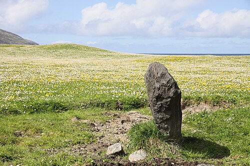 バラ島の立石