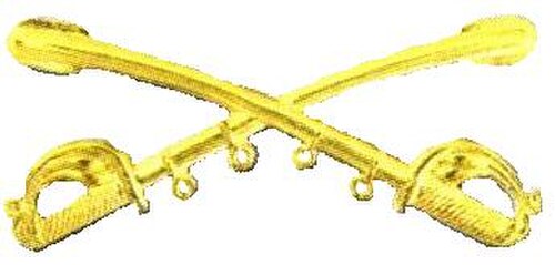 北軍騎兵部隊の記章をコンピュータで再現したもの。記章は金色で、鞘に入った2本の剣が45度の角度で交差し、上を向いている。