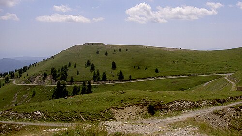 写真は山の高いところにある草に覆われた斜面です。