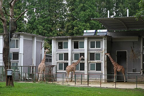 キリンの囲い