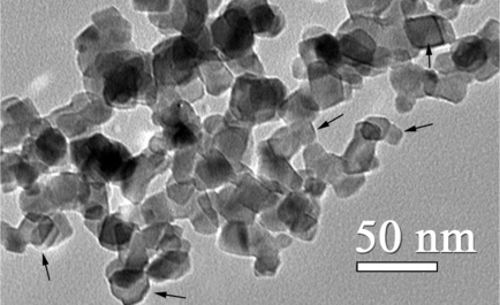 ほぼ同じ大きさのナノ粒子の電子顕微鏡写真