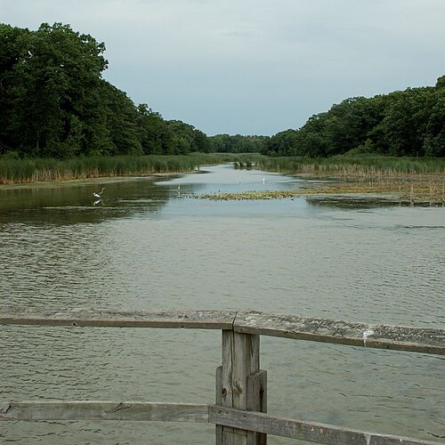 公園の歩道橋