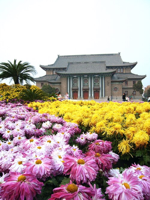 河南大学