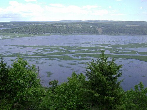 湿地の南端からダーリングス島を望む