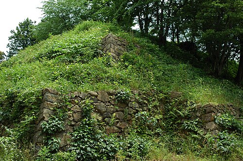 草に覆われた廃墟