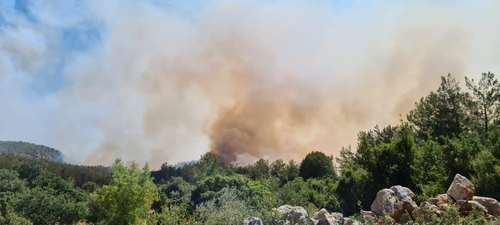 ミラースの山火事