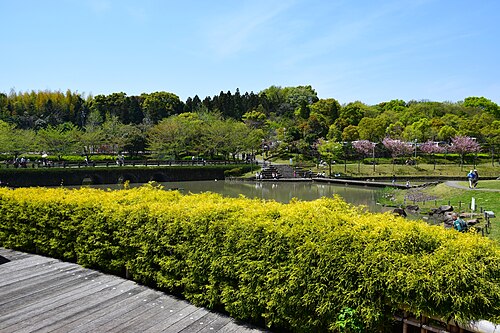 大台公園