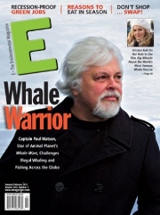 E-The Environmental Magazine の表紙アートワーク