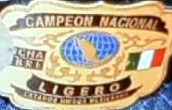 プロレス選手権の正面のカラー写真
