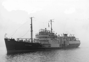 RFA エディリーフ