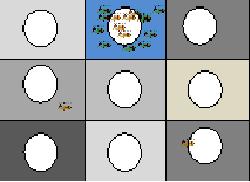 ミツバチの色覚を検査するための実験計画。
