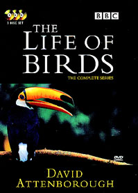 鳥の生涯 DVD カバー