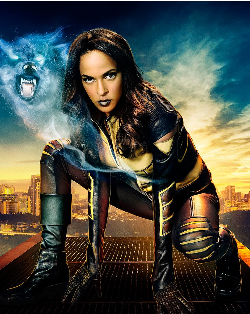 『ARROW/アロー』のヴィクセン役。