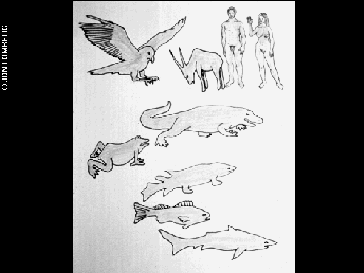 ジョン・ロンバーグによる「脊椎動物の進化図」