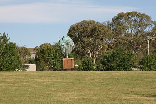 Ellerston Pastoral station