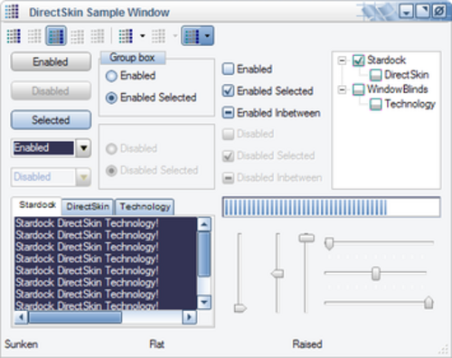 DirectSkin の動作