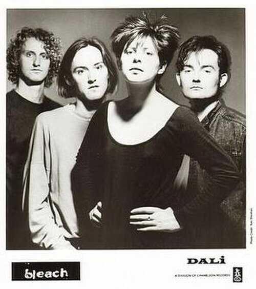 ブリーチ、1991年