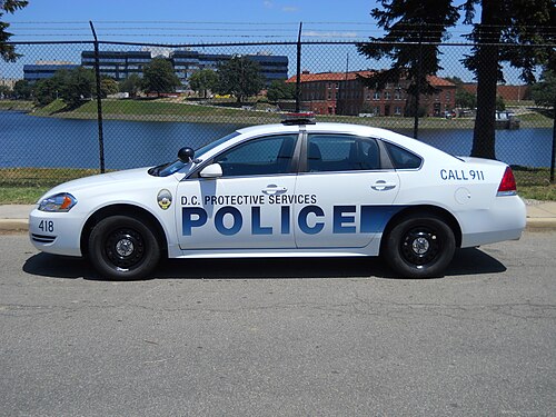 PSPD クルーザー - 2011