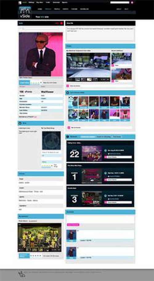 vSide Web プロファイルのスクリーンショット